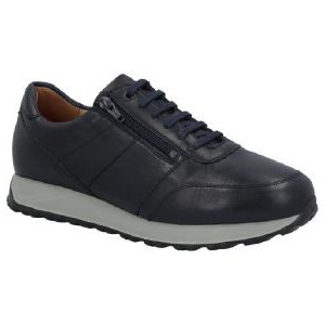 Solidus 83010 80508 Harry H