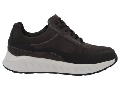 Solidus Solidus 71122-01206 Ken K Zwart