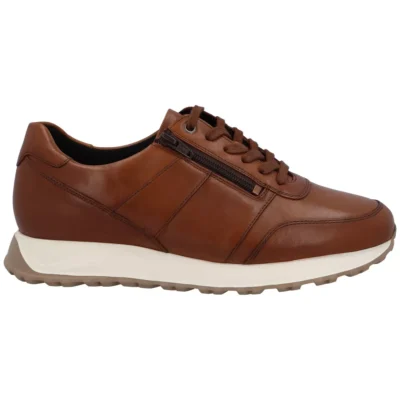 Solidus Solidus 83010 30153 Bruin