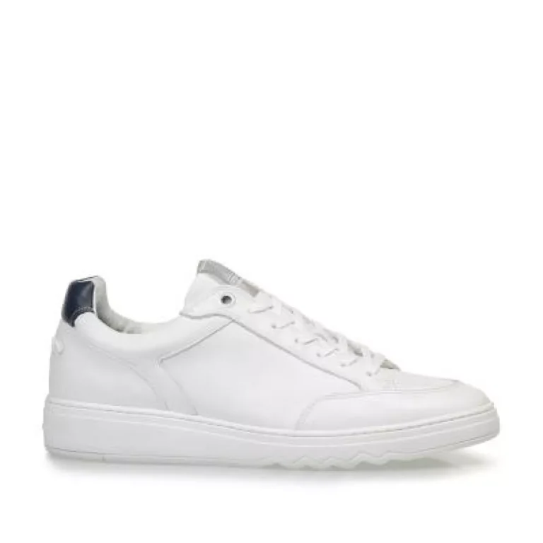 van Bommel van Bommel SFM-10183-60-01 Wit