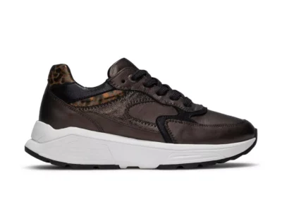 Xsensible Xsensible 33002.4.351 Bruin