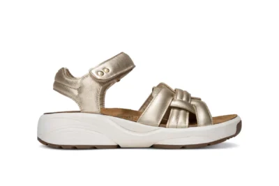 Xsensible Xsensible 30804.5.911 Magnolia Gold H Beige