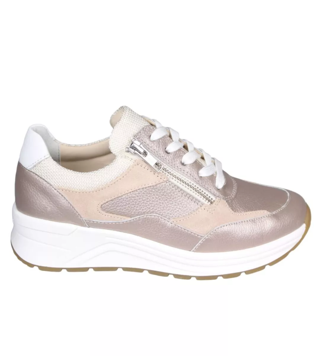 Solidus 59084 40700 K Champagne Multi Beige 1 Solidus Solidus 59084 40700 K Champagne Multi Beige