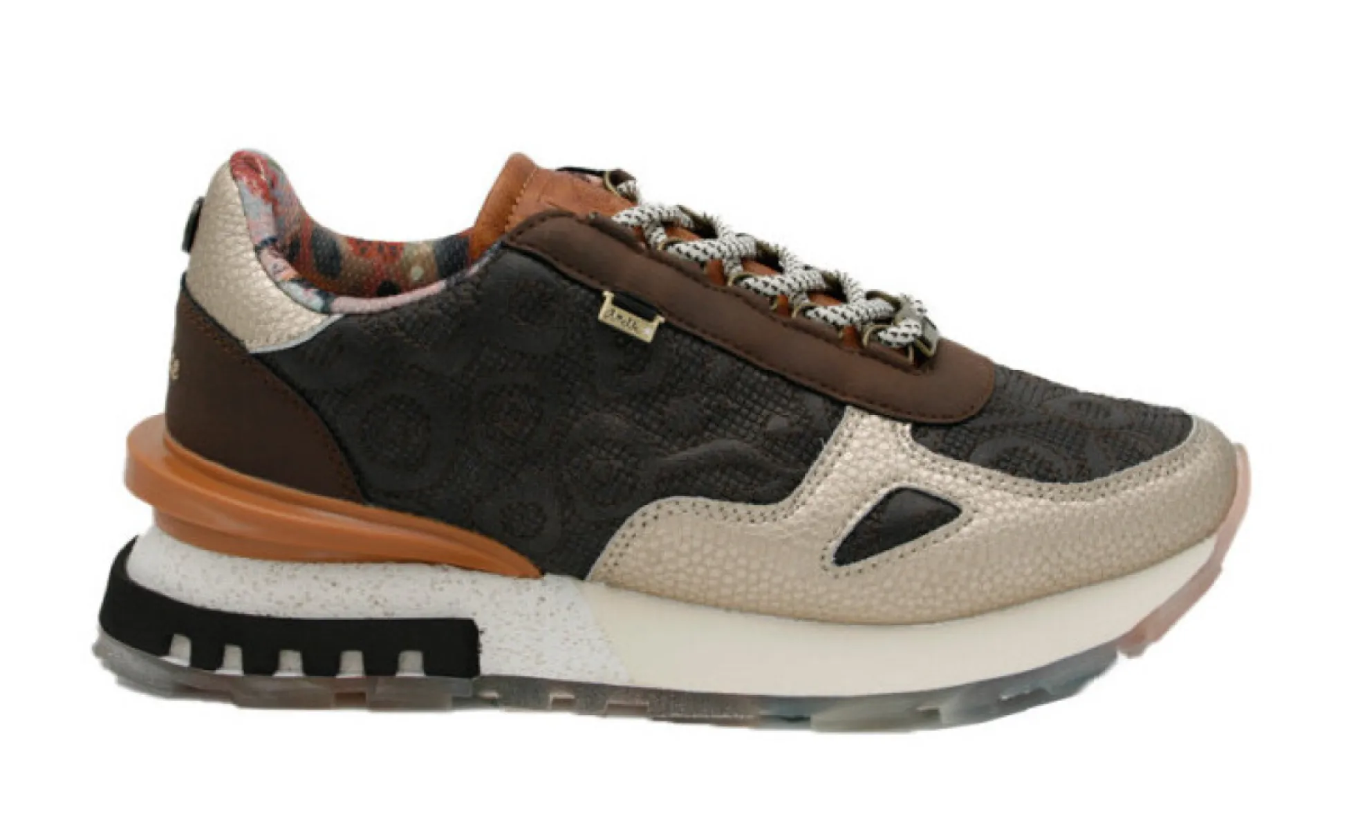 Anekke Lisboa 43307-731 Brown Bruin 1 Anekke Anekke Lisboa 43307-731 Brown Bruin